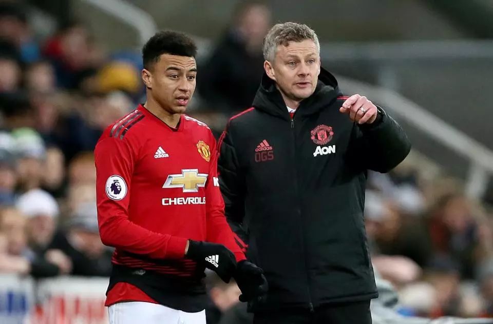 羽毛球成新晋“贵族运动”？部分品牌价格涨幅堪比黄金.